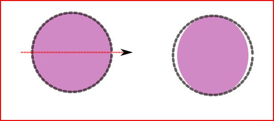 comp-etir.JPG